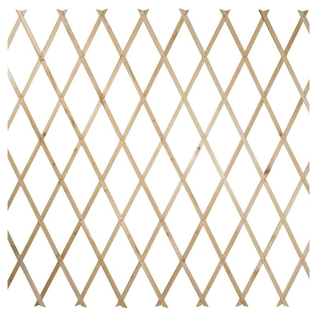 Traliccio Legno Rete Estensibile Piante Rampicanti Staccionata 100x300cm 206430