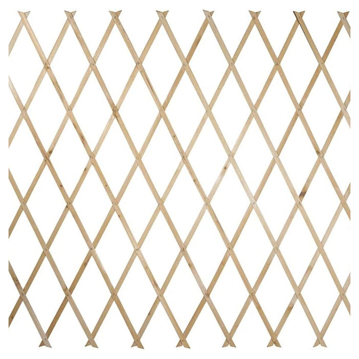 Traliccio Legno Rete Estensibile Piante Rampicanti Staccionata 100x300cm 206430