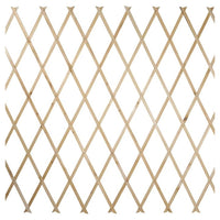Traliccio Legno Rete Estensibile Piante Rampicanti Staccionata 180x60 Cm 129682