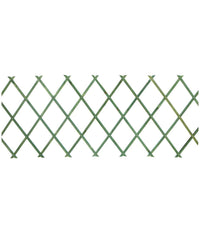 Traliccio Rete Estensibile In Legno Verde Per Parete Da Giardino Piante 300x100         