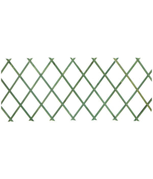 Traliccio Rete Estensibile In Legno Verde Per Parete Da Giardino Piante 300x100         