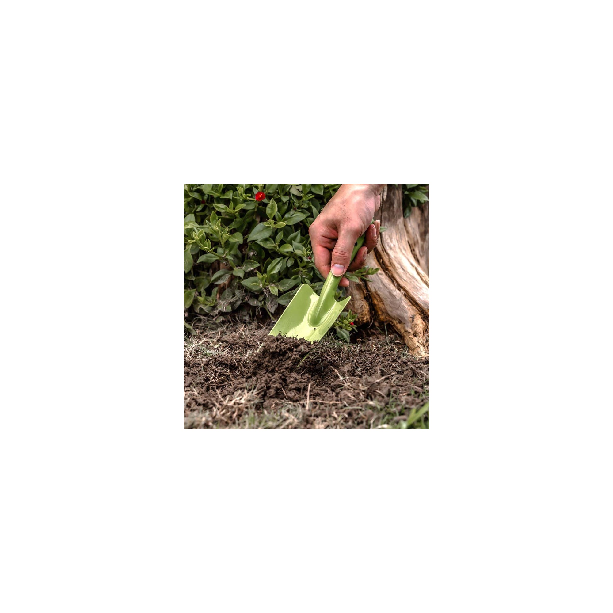 Trapiantatrice per il giardinaggio - Suan - Acciaio - Dimensioni : 26 x 6 cm