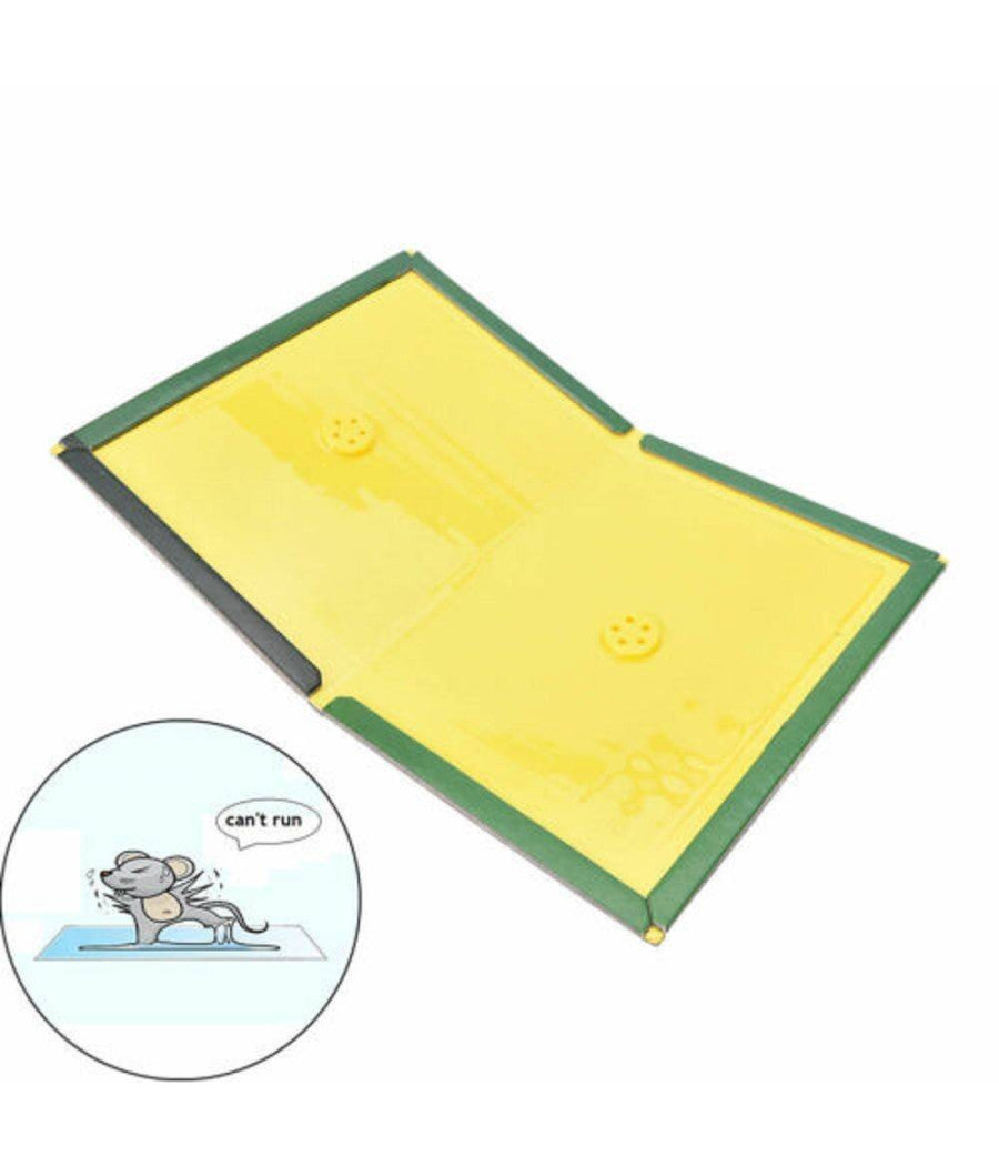 Trappola Per Topi E Ratti Con Colla Adesiva Super Forte Topo Ratto Insetti Casa         