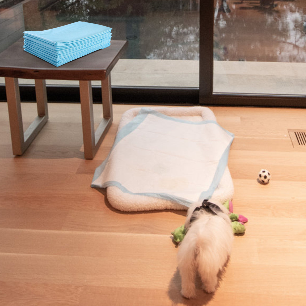 Traverse usa e getta con controllo odore, Traverse con asciugatura rapida per cani gatti conigli 60 x 43 cm-Giochi e accessori per cani