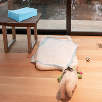 Traverse usa e getta con controllo odore, Traverse con asciugatura rapida per cani gatti conigli 60 x 43 cm-Giochi e accessori per cani