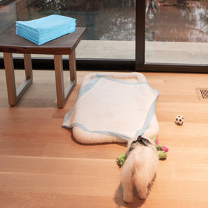 Traverse usa e getta con controllo odore, Traverse con asciugatura rapida per cani gatti conigli 60 x 43 cm-Giochi e accessori per cani