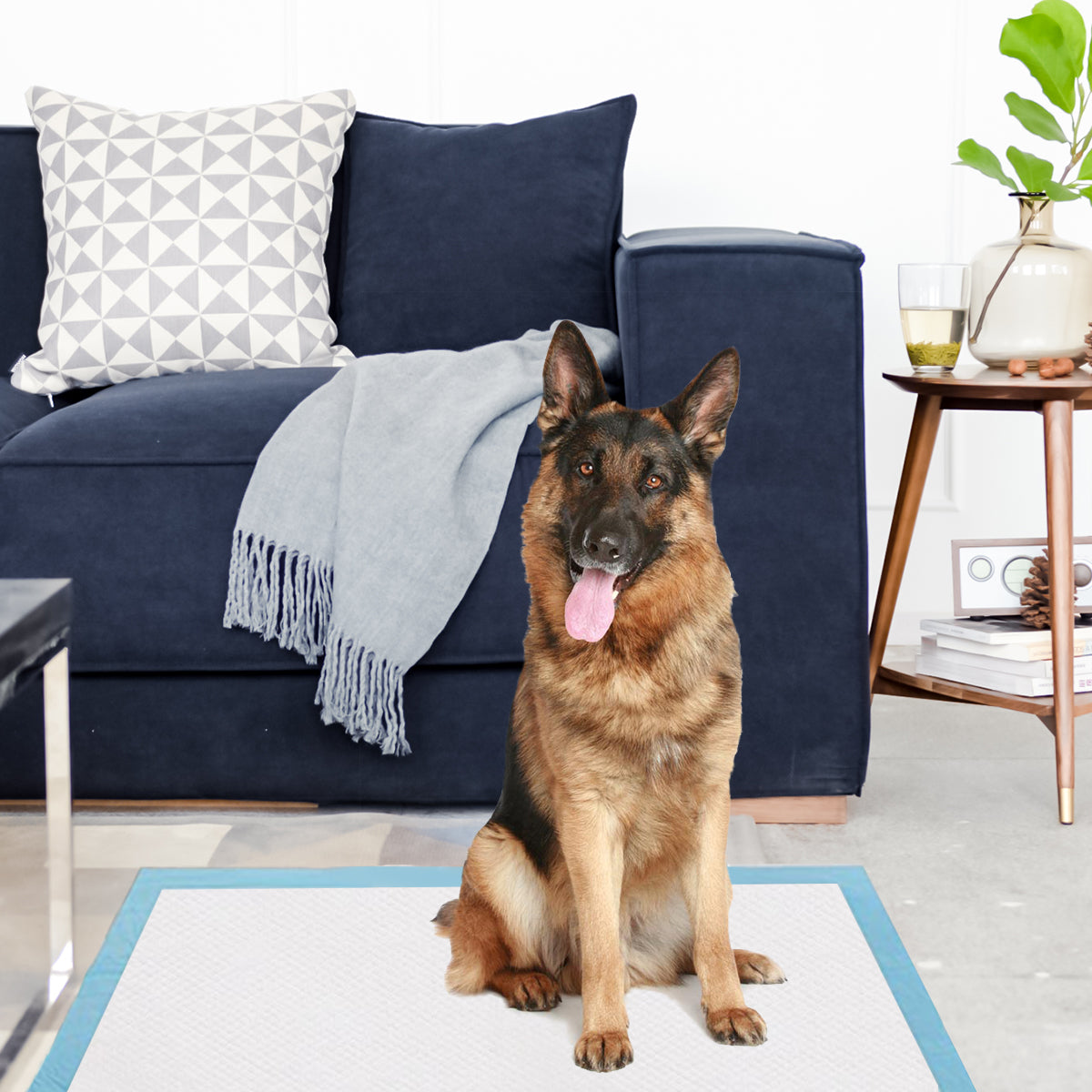 Traverse usa e getta con controllo odore, Traverse con asciugatura rapida per cani gatti conigli 75 x 75 cm-Giochi e accessori per cani