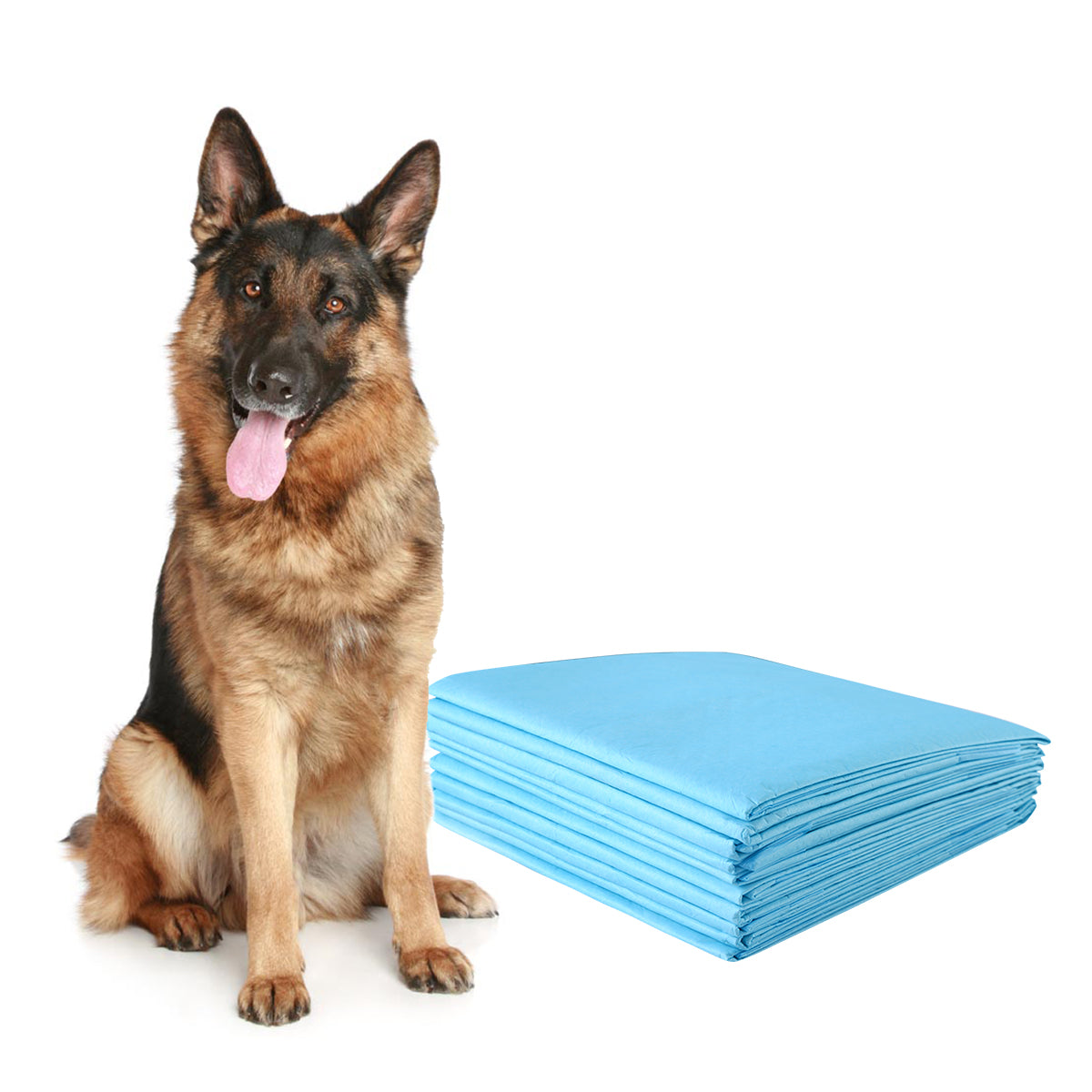Traverse usa e getta con controllo odore, Traverse con asciugatura rapida per cani gatti conigli 75 x 75 cm-Giochi e accessori per cani