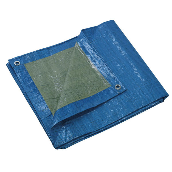 Telo di protezione metri 2 x 3 grammi 65