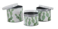 Cofanetti In Latta Cactus Set 3 Pz Cm  Ø 15X13.5-14X11.5-12.5X10