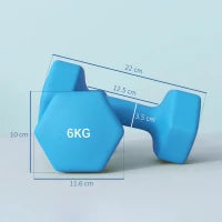 Set 2 Manubri Esagonali da 2x6kg in Metallo e Plastica con Impugnatura Antiscivolo, 22x10x10 cm, Azzurro