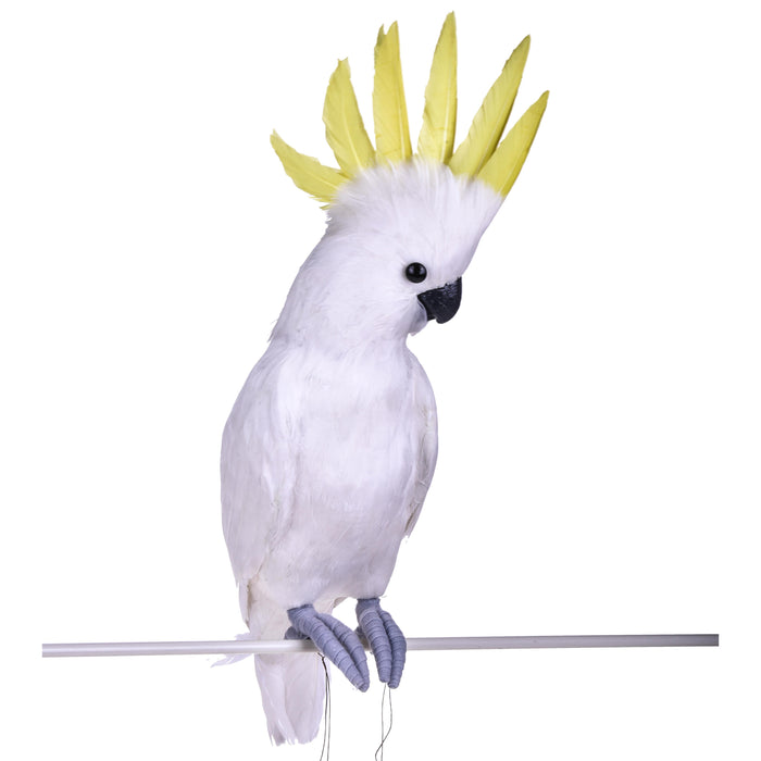 Pappagallo Cacatua H 54 cm