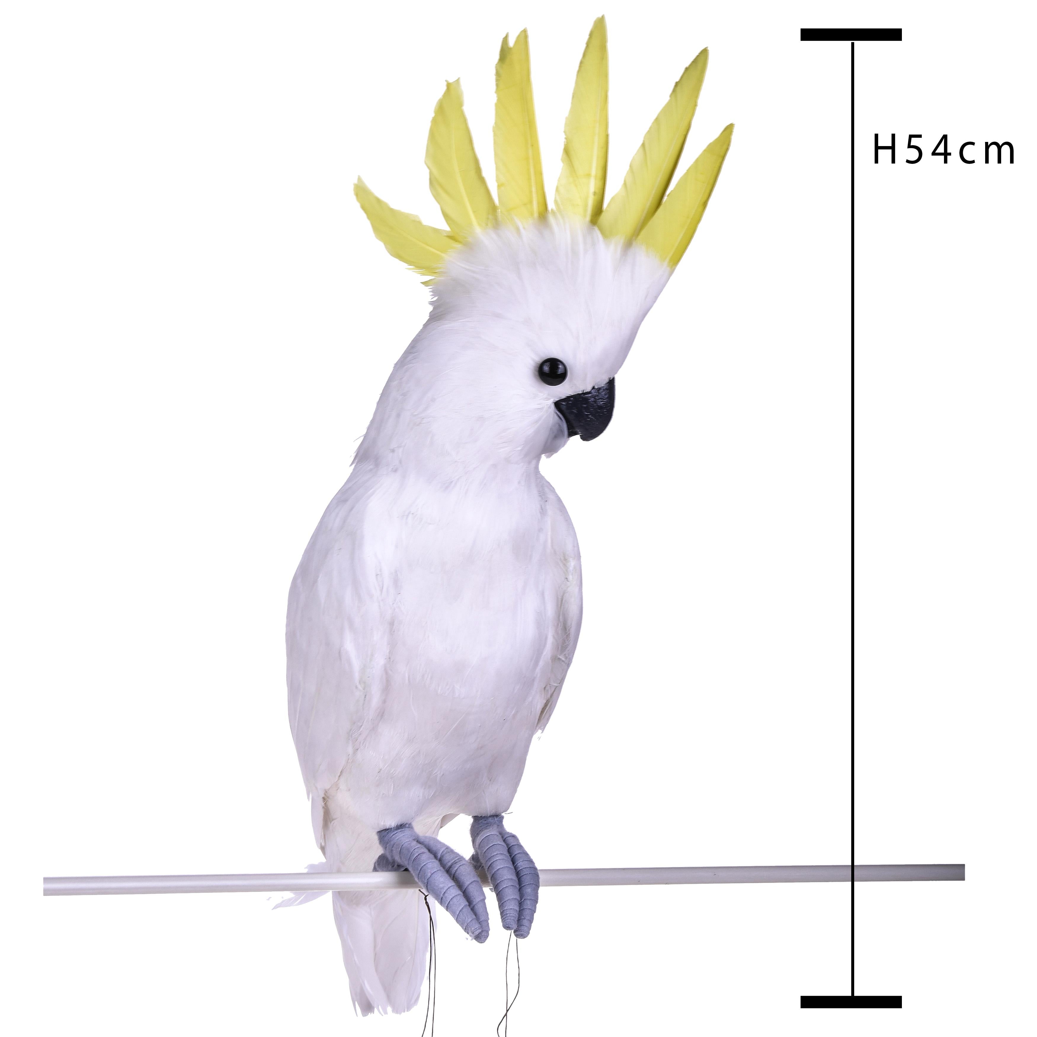 Pappagallo Cacatua H 54 cm