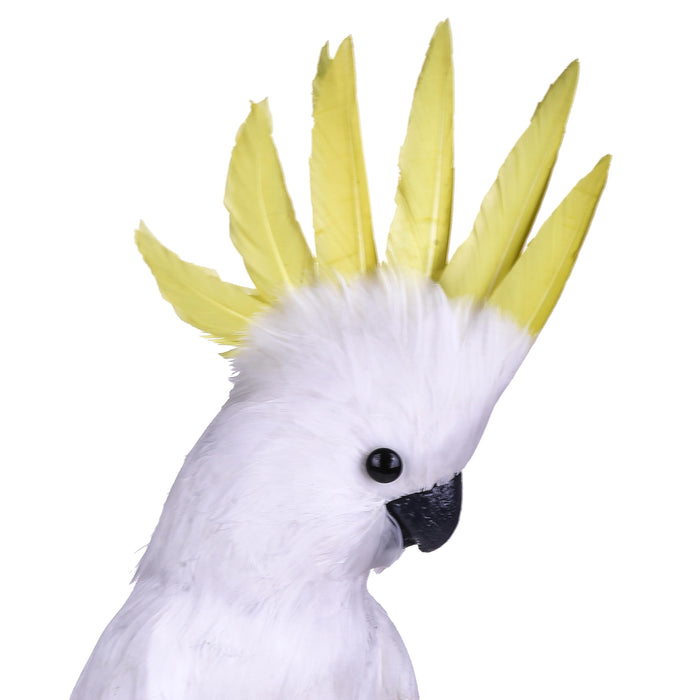 Pappagallo Cacatua H 54 cm