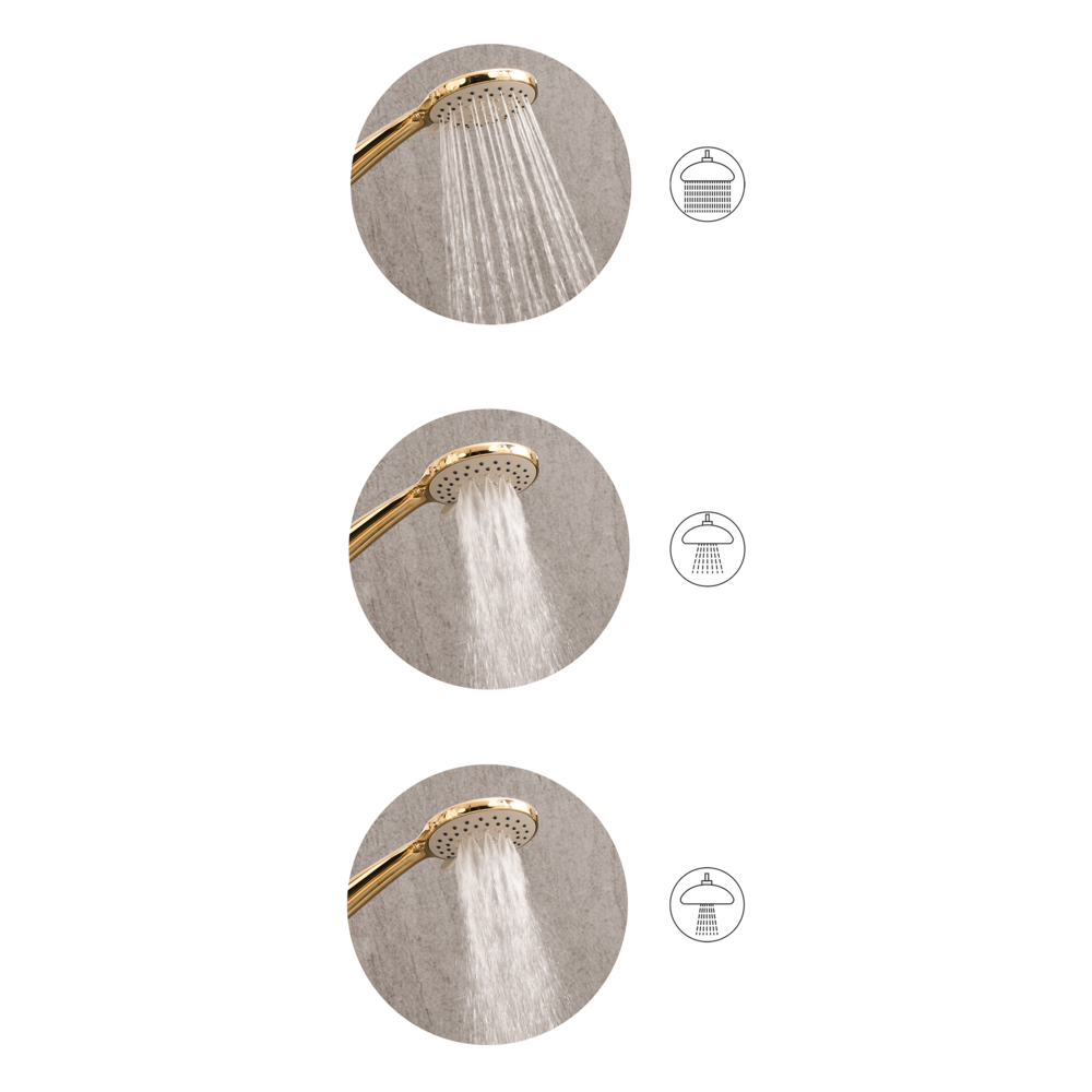 Set doccia con tubo flessibile 3 modalità di spruzzo Metallo argento stile moderno