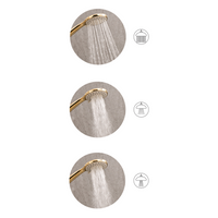 Set doccia con tubo flessibile 3 modalità di spruzzo Metallo argento stile moderno