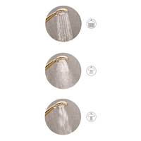 Set doccia con tubo flessibile 3 modalità di spruzzo Metallo argento classico moderno