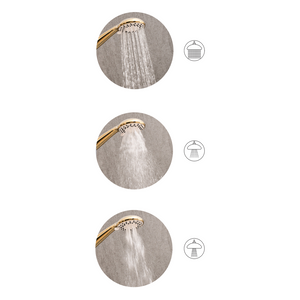 Set doccia con tubo flessibile 3 modalità di spruzzo Metallo argento classico moderno