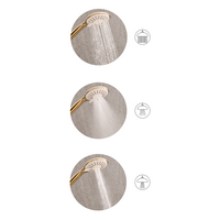 Set doccia con tubo flessibile 3 modalità di spruzzo Metallo argento Tumple