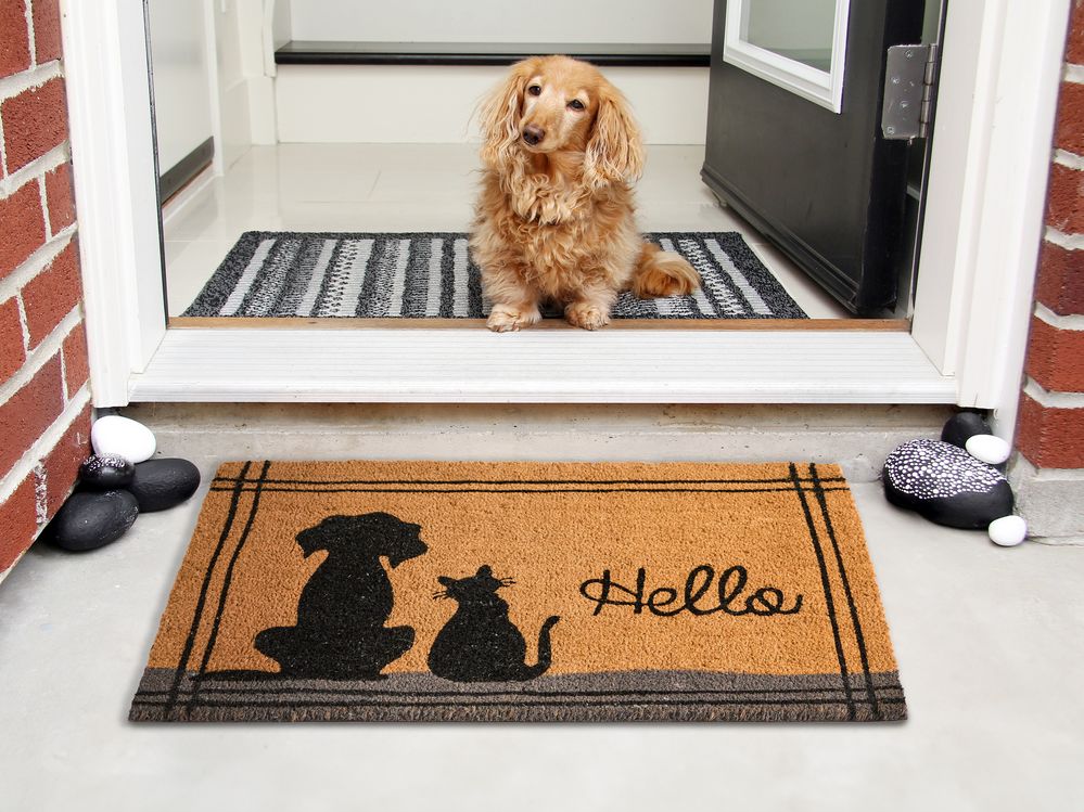 Zerbino di benvenuto in fibra di cocco antiscivolo 60 x 90 cm con supporto in PVC multicolore