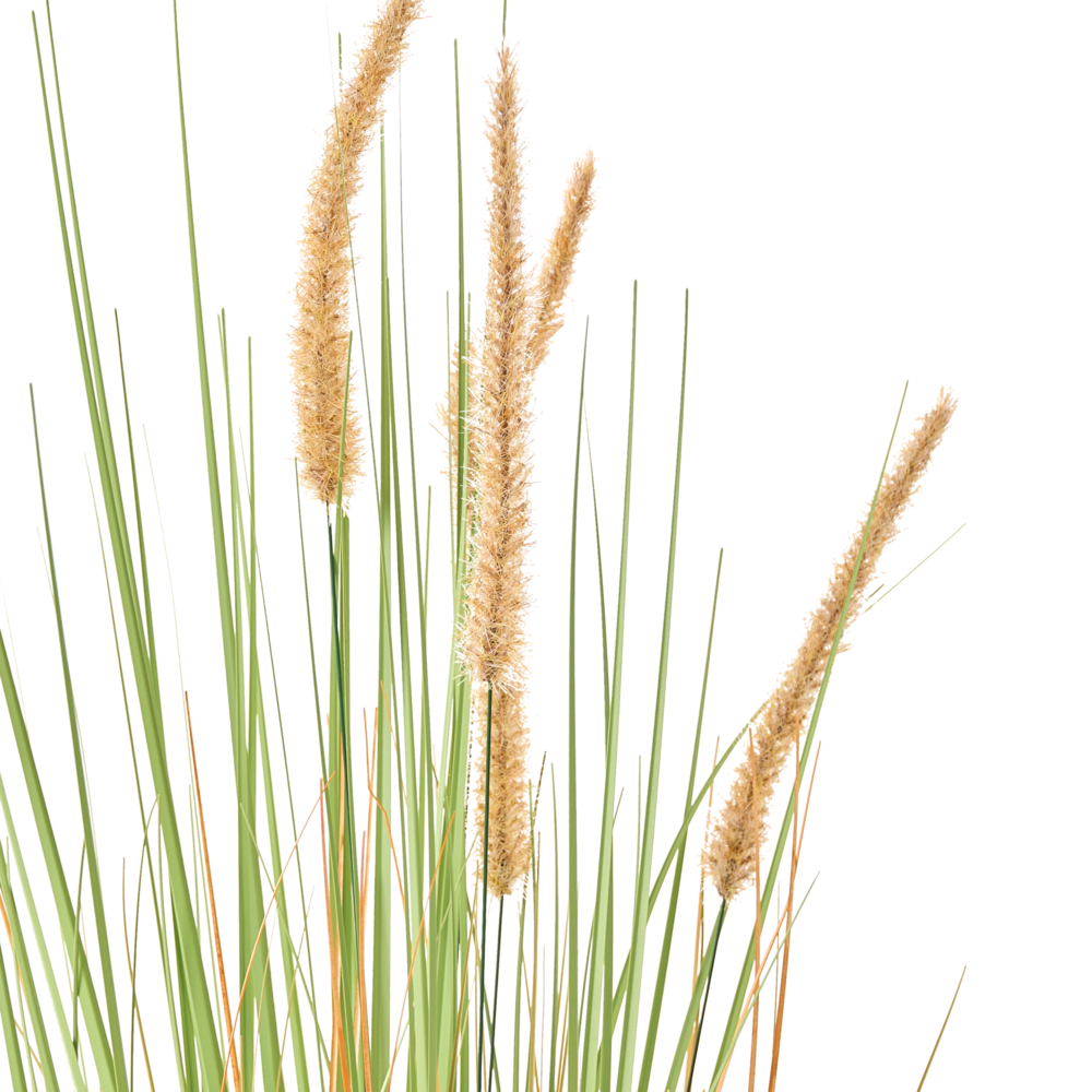 Pianta artificiale in vaso Fiore di canna verde arancione e vaso di plastica nero 90 cm Accessorio decorativo per la casa