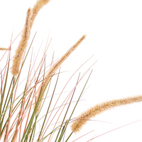 Pianta artificiale in vaso Fiore di canna verde arancione e vaso di plastica nero 120 cm Accessorio decorativo per la casa