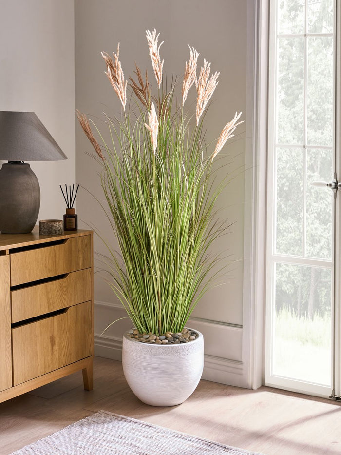 Pianta artificiale in vaso Verde e marrone Coda di Volpe Materiale sintetico e vaso di plastica nero 150 cm Accessorio decorativo per la casa