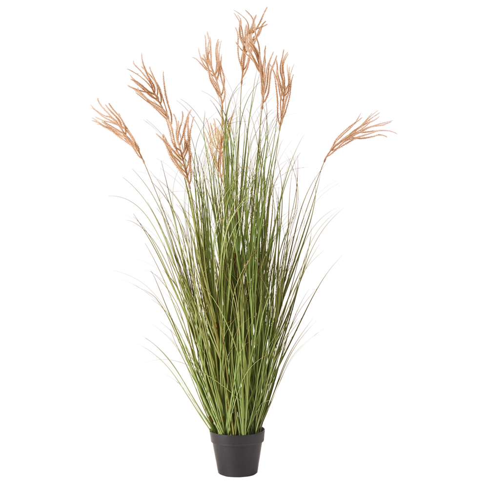 Pianta artificiale in vaso Verde e marrone Coda di Volpe Materiale sintetico e vaso di plastica nero 150 cm Accessorio decorativo per la casa