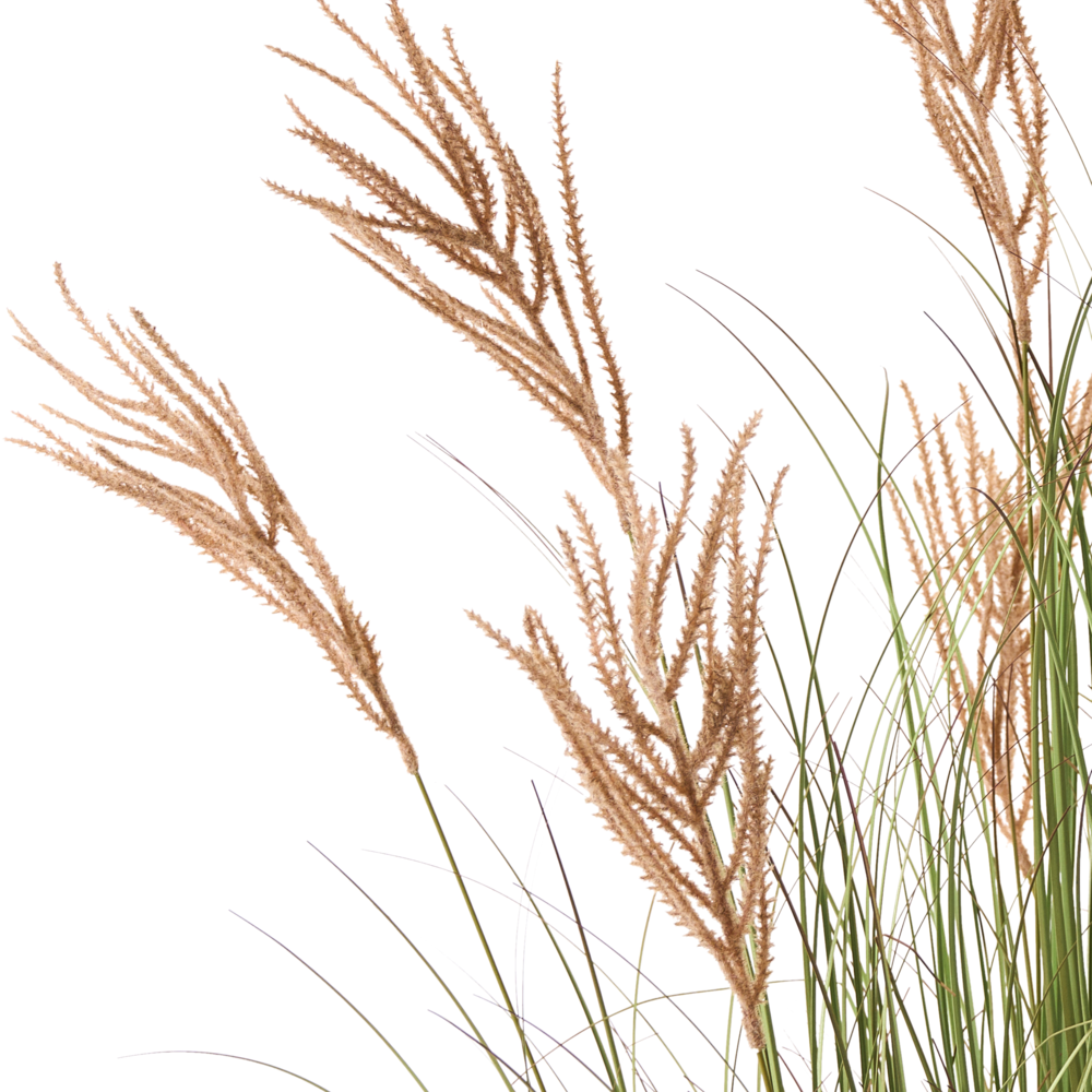 Pianta artificiale in vaso Verde e marrone Coda di Volpe Materiale sintetico e vaso di plastica nero 150 cm Accessorio decorativo per la casa