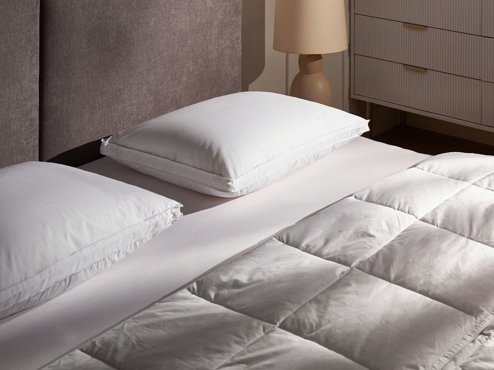 Set di 2 cuscini per letto in cotone bianco piumino d'anatra e piume 50 x 60 cm alto medio morbido