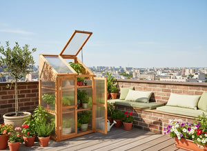 Serra da balcone in legno di abete marrone chiaro con doppia porta, 3 ripiani e pannello trasparente da giardino