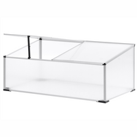 Grande serra da giardino in policarbonato con struttura in alluminio Porte scorrevoli walk-in Protezione UV Argento