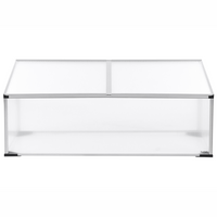 Grande serra da giardino in policarbonato con struttura in alluminio Porte scorrevoli walk-in Protezione UV Argento