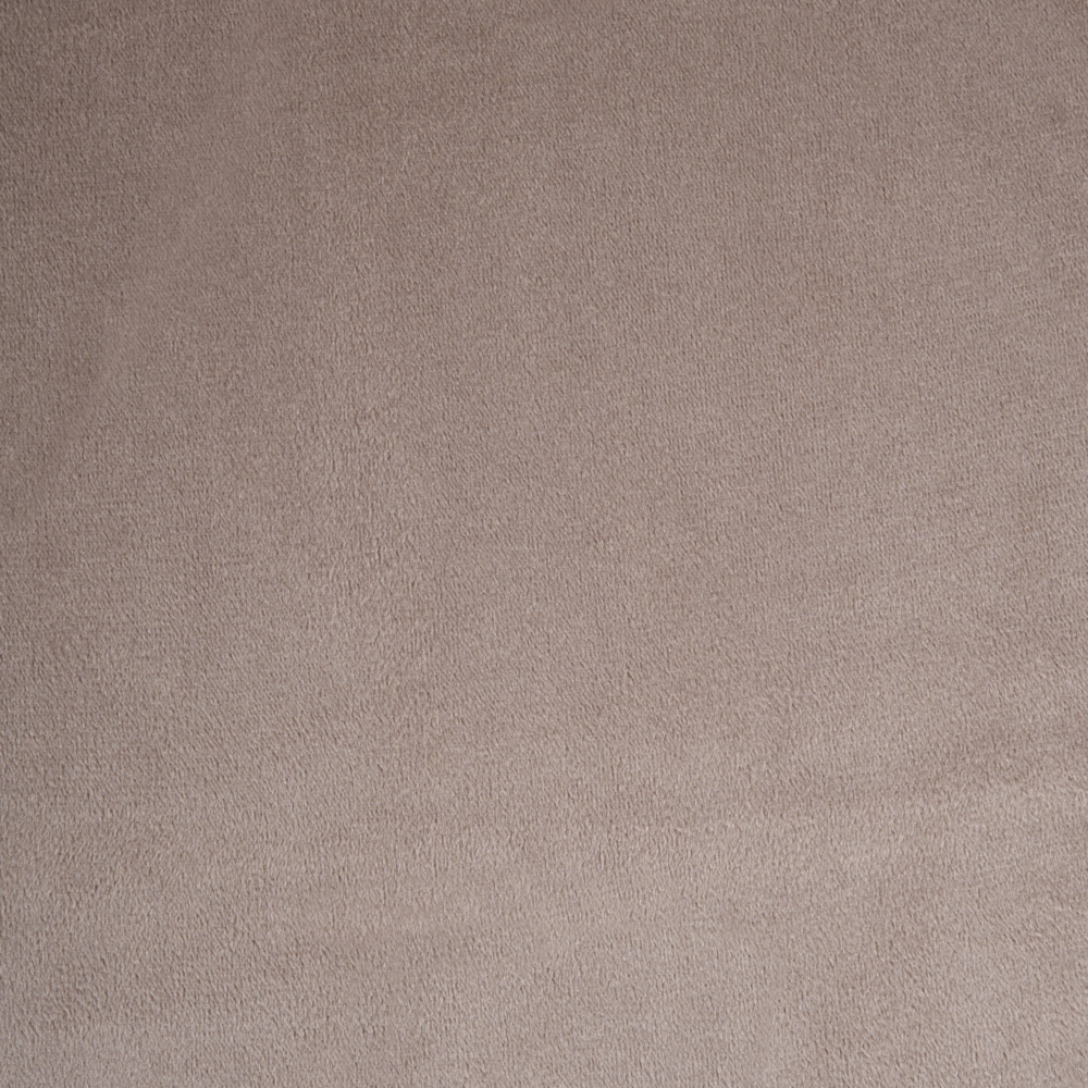 Set di 4 sedie da pranzo con seduta in velluto imbottito Stile moderno Senza braccioli Gambe in ferro tortora