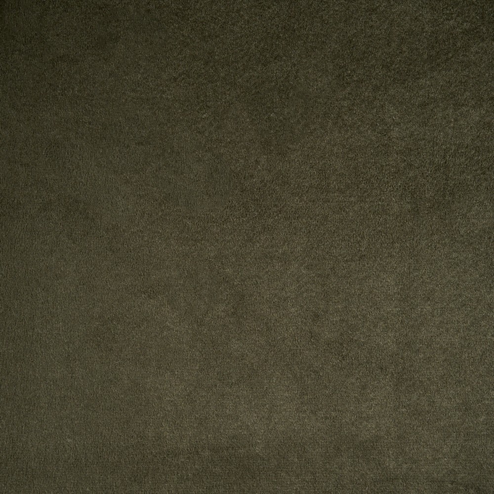 Set di 4 sedie da pranzo con seduta in velluto imbottito Stile moderno Senza braccioli Gambe in ferro verde oliva