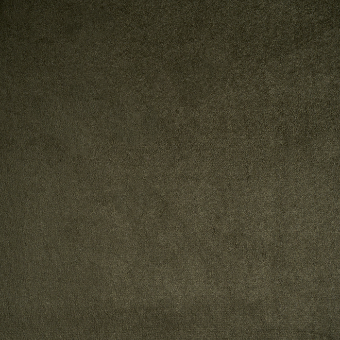 Set di 4 sedie da pranzo con seduta in velluto imbottito Stile moderno Senza braccioli Gambe in ferro verde oliva