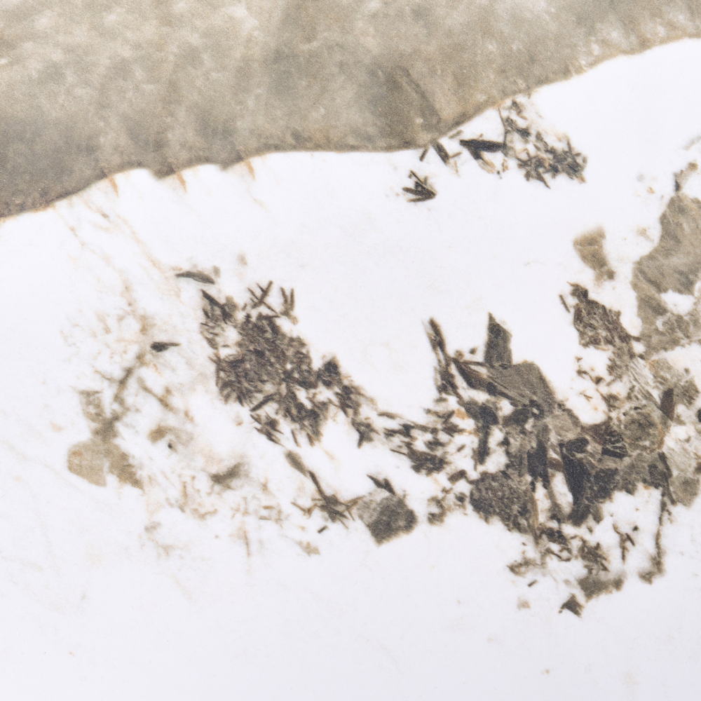 Tavolino con base in MDF e piano in marmo bianco ceramico Design moderno Gambe scanalate ø 80 cm marrone