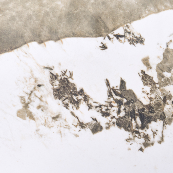 Tavolino con base in MDF e piano in marmo bianco ceramico Design moderno Gambe scanalate ø 80 cm marrone