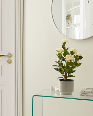 Pianta artificiale in vaso Materiale sintetico verde 60 cm Decorativa Finta Imitazione