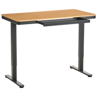 Scrivania elettrica con altezza regolabile Funzioni seduta/in piedi Scandinava 120 x 60 cm Porta USB Gambe e piano marrone e nero design scandinavo