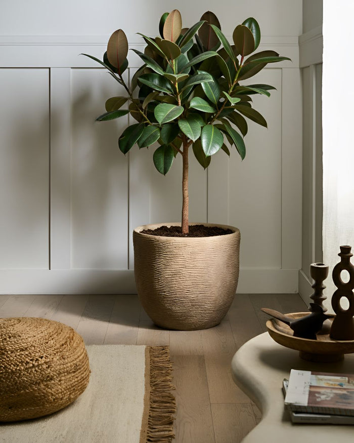 Vaso da fiori per esterni e interni Fioriera rotonda in fibra di argilla 47 x 47 x 40 cm Alta Verniciata beige Lixouri