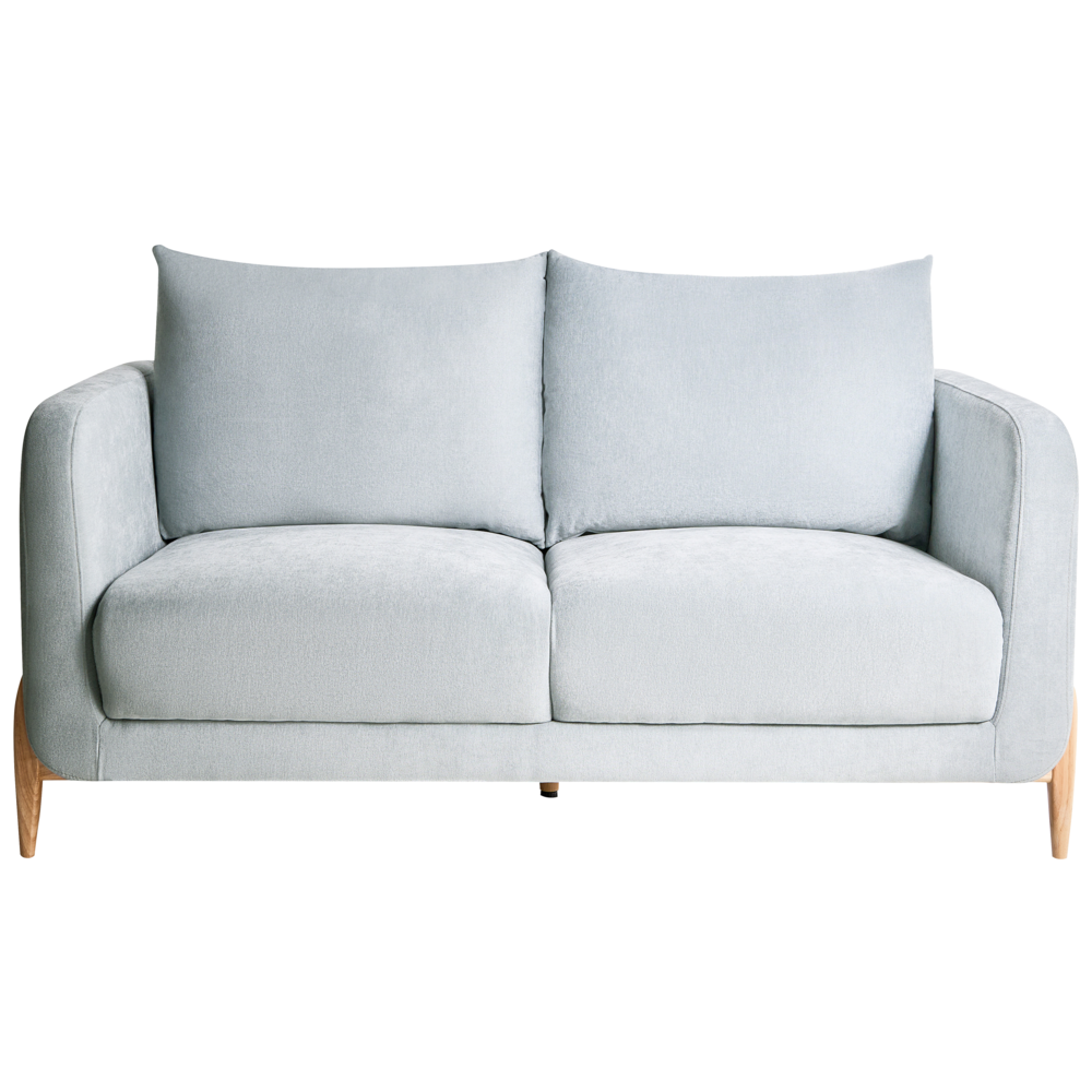 Divano a 2 posti Rivestimento in ciniglia azzurro Gambe in legno con braccioli Angolo lettura soggiorno Stile scandinavo moderno