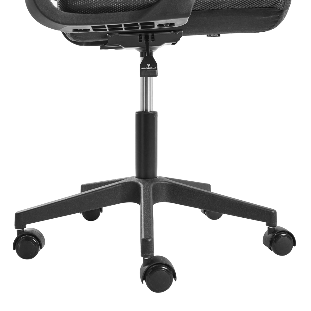 Sedia da ufficio in tessuto a rete grigio scuro imbottitura regolabile in altezza girevole da scrivania per computer per ufficio domestico