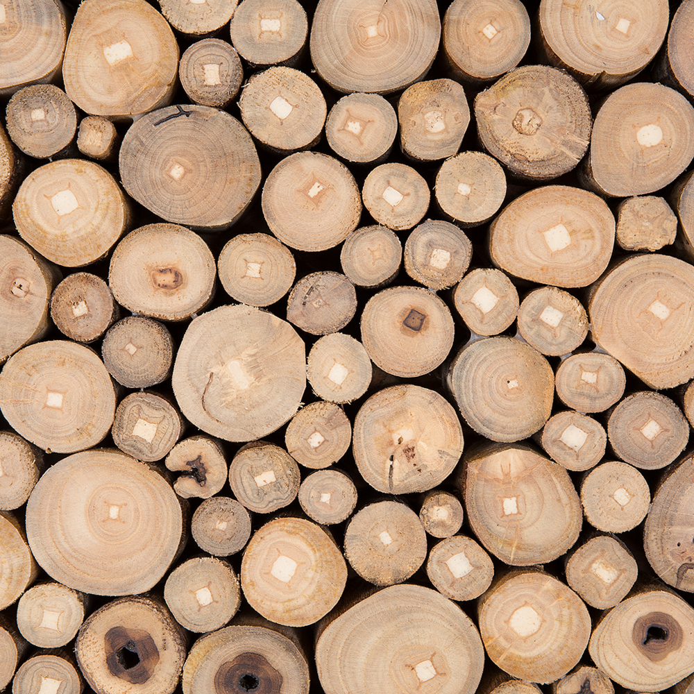 Decorazione da parete in legno chiaro con in teak Decorazione per la casa