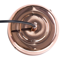 Lampada a Sospensione Globo 1 Luce Lampada in Rame Quadro Moderno