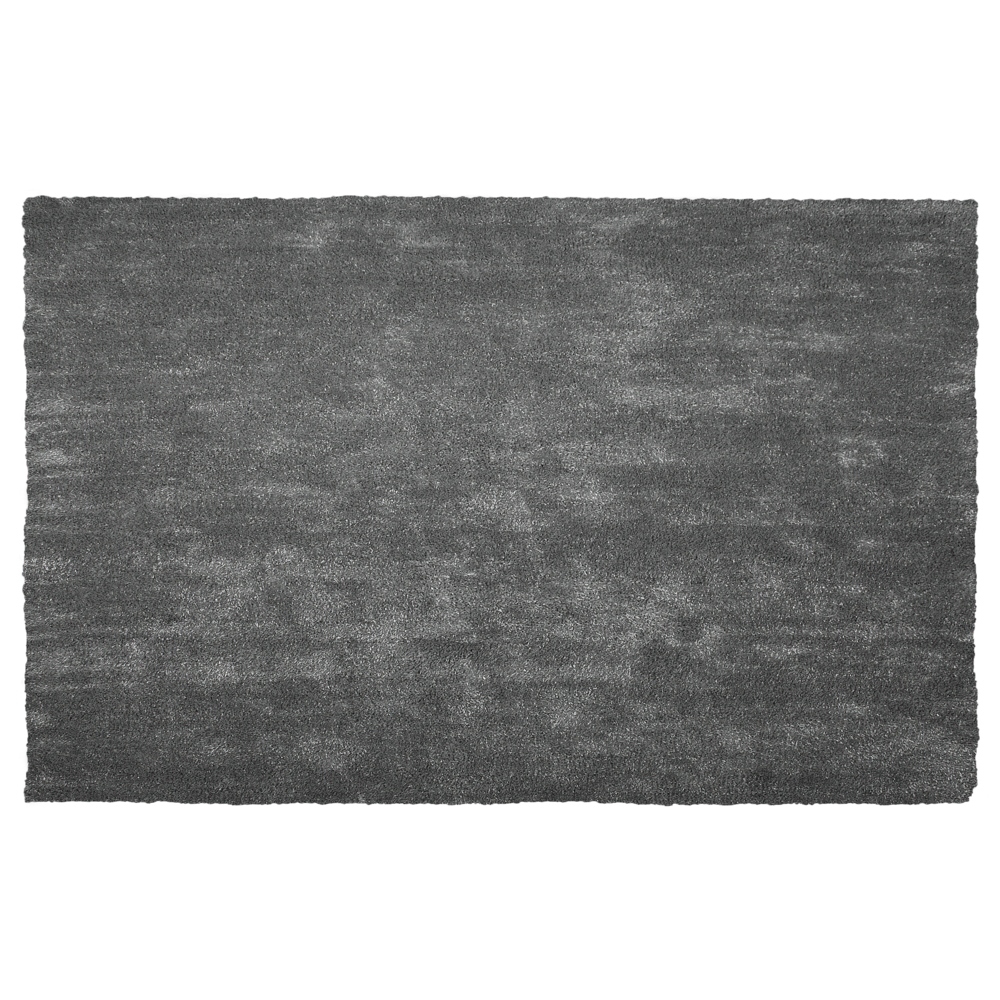 Tappeto Shaggy Grigio Scuro 200 x 300 cm Moderno Tappeto Rettangolare Trapuntato a Pelo Lungo