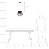 Lampada a Sospensione Globo 1 Luce Lampada in Rame Quadro Moderno