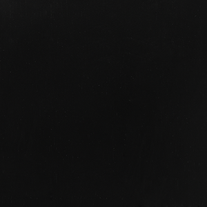 Set di 2 sedie da pranzo Sedia da cucina con schienale in legno massello Nero