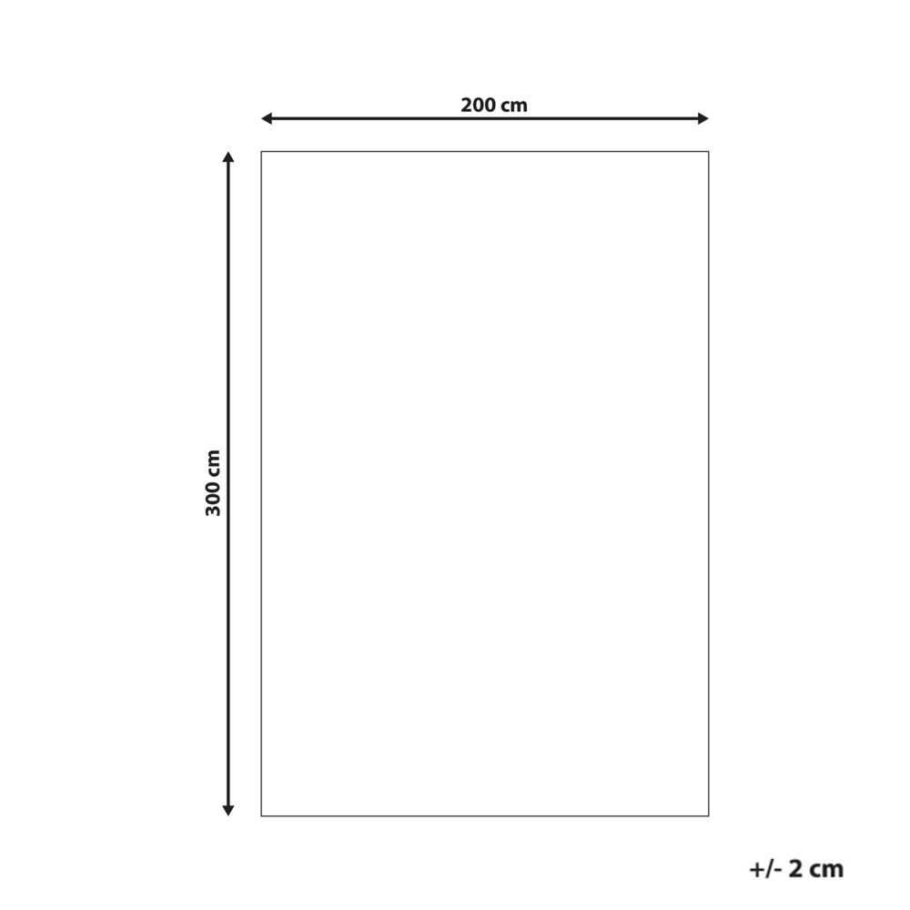 Tappeto shaggy rosso 200 x 300 cm moderno tappeto trapuntato a Pelo Lungo
