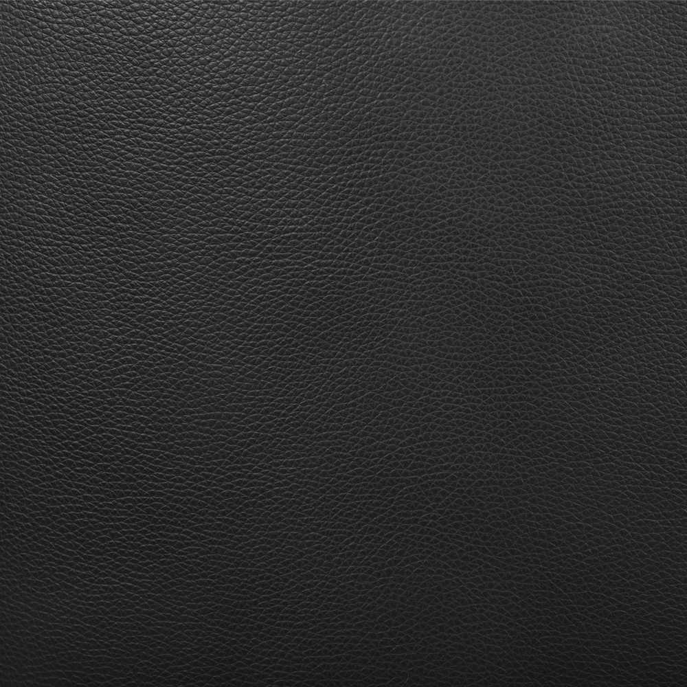 Divano da soggiorno in ecopelle a 2 posti Nero moderno divanetto